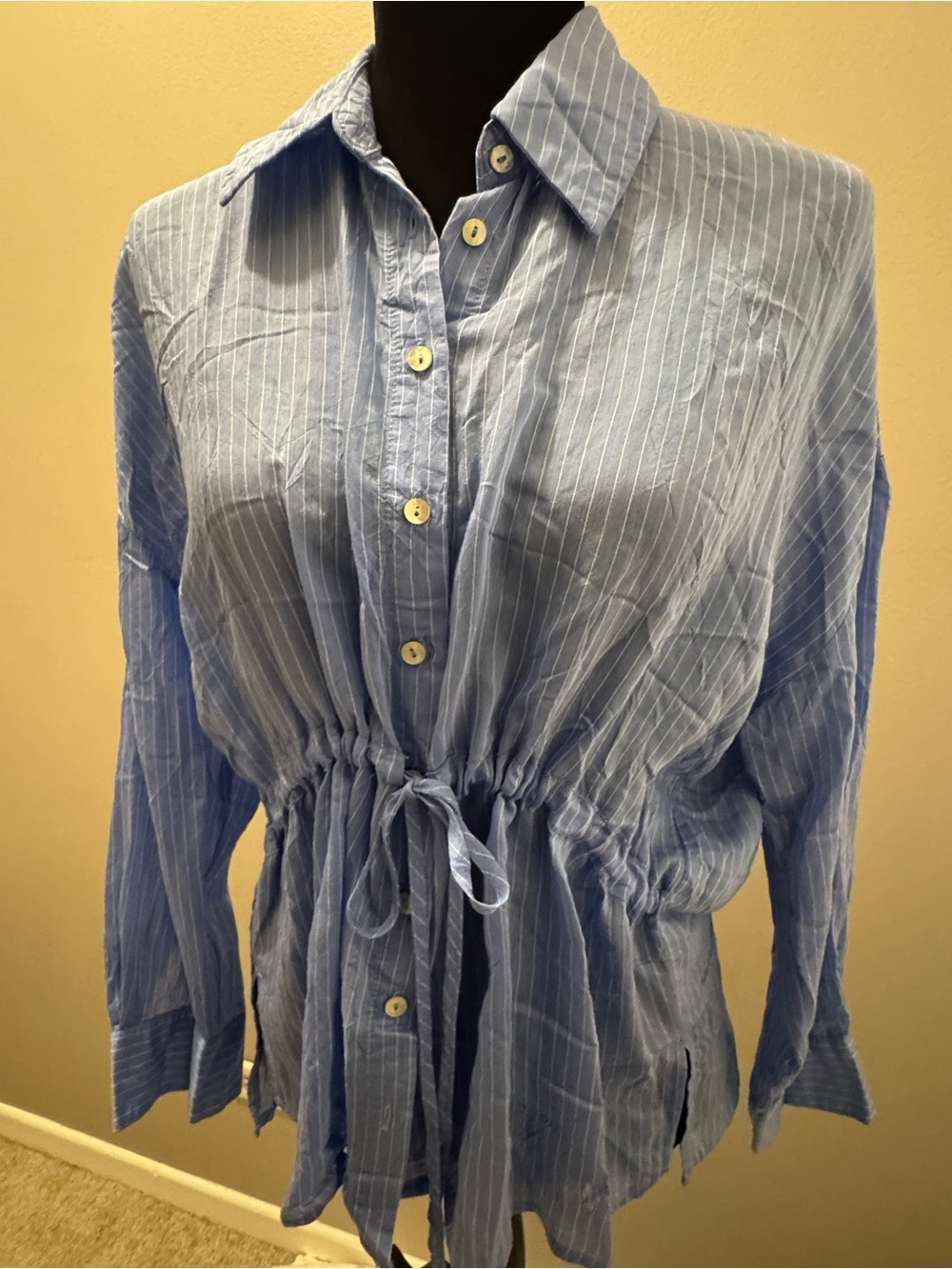 Zara Blue Pinstripe Button-Down Shirt